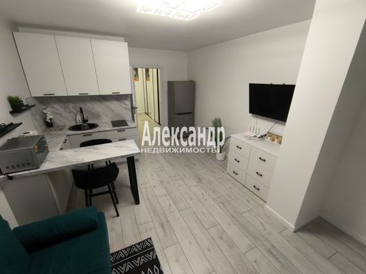 Сдам однокомнатную (1-комн.) квартиру, Шоссе в Лаврики ул, 67, Мурино п