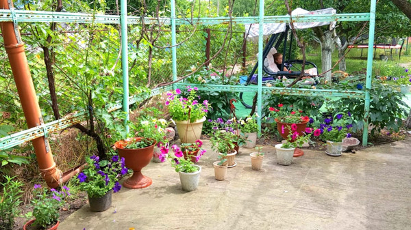 Продам дачу, Роз б-р, Волгодонск г, 0 км от города