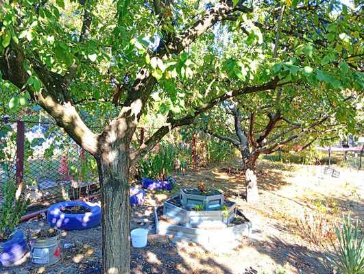 Продам дачу, Роз б-р, Волгодонск г, 0 км от города