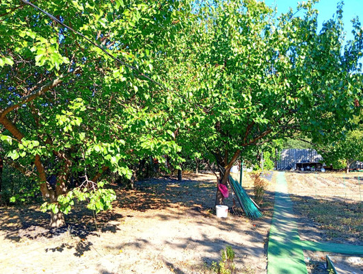 Продам дачу, Роз б-р, Волгодонск г, 0 км от города