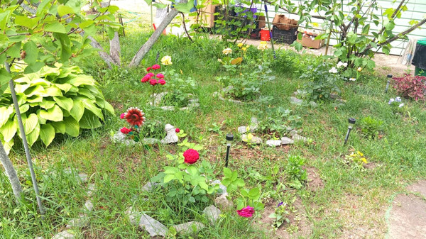 Продам дачу, Роз б-р, Волгодонск г, 0 км от города