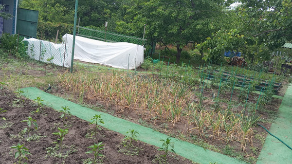 Продам дачу, Роз б-р, Волгодонск г, 0 км от города