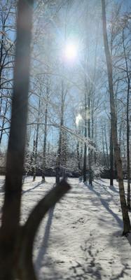 Продам двухкомнатную (2-комн.) квартиру, Петра Смородина ул, 4, Санкт-Петербург г