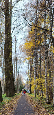 Продам двухкомнатную (2-комн.) квартиру, Петра Смородина ул, 4, Санкт-Петербург г