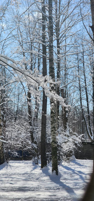 Продам двухкомнатную (2-комн.) квартиру, Петра Смородина ул, 4, Санкт-Петербург г