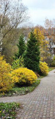 Продам двухкомнатную (2-комн.) квартиру, Петра Смородина ул, 4, Санкт-Петербург г