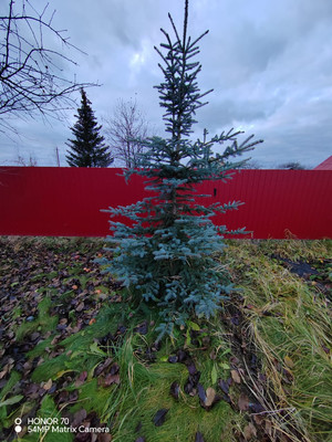 Продам дачу, Руэм п, 0 км от города