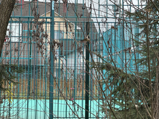 Продам участок 4,6 соток, ИЖС, Передельцевская ул, Саларьево д, 0 км от города