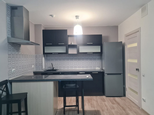 Сдам однокомнатную (1-комн.) квартиру, Реки Каменки наб, 17к2, Санкт-Петербург г