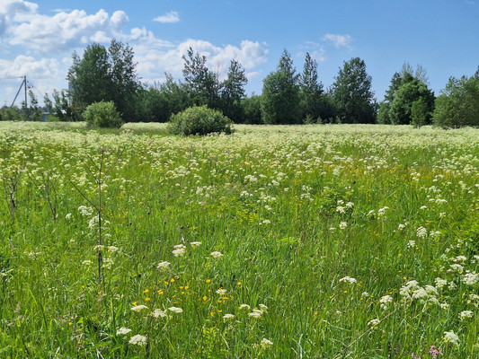 Продам землю для коммерческого использования 10 соток, Ленсоветовский тер, Шушары п