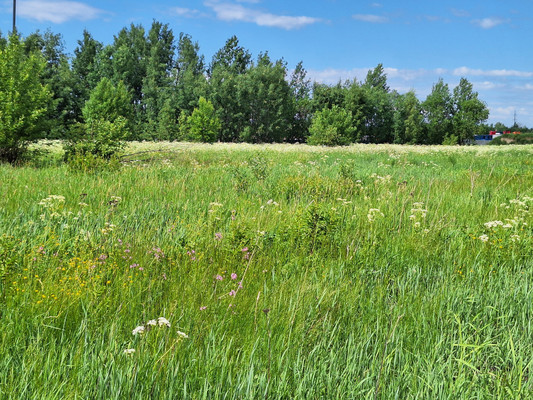 Продам землю для коммерческого использования 10 соток, Ленсоветовский тер, Шушары п
