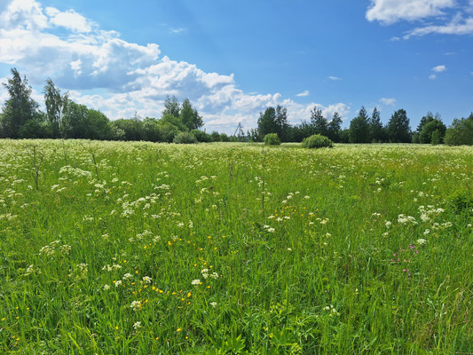Продам землю для коммерческого использования 10 соток, Ленсоветовский тер, Шушары п