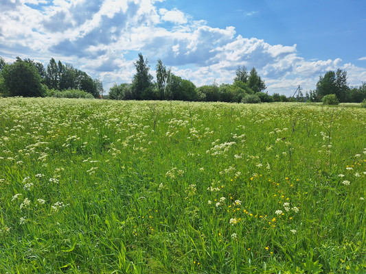 Продам землю для коммерческого использования 10 соток, Ленсоветовский тер, Шушары п