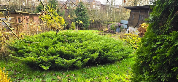 Продам дачу, Пыхтино д, 0 км от города