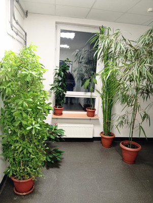 Продам однокомнатную (1-комн.) квартиру, Солнечный проезд, 6, Молоково с