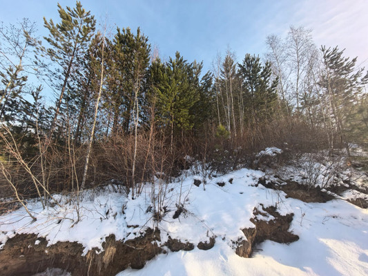 Продам участок 10 соток, Садоводство, Вербная ул, Мечта тер. ДНТ, 0 км от города
