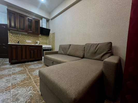 Продам однокомнатную (1-комн.) квартиру, Загородная (Центральный р-н) ул, 5/3, Сочи г