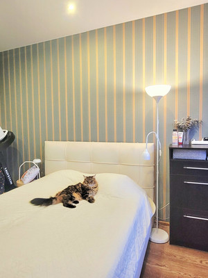 Продам двухкомнатную (2-комн.) квартиру, Параллельная (Центральный р-н) ул, 6/8, Сочи г