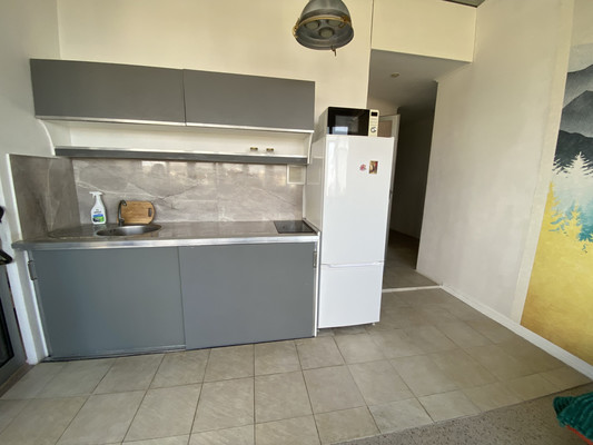 Сдам однокомнатную (1-комн.) квартиру, Макаренко (Центральный р-н) ул, 8к9, Сочи г