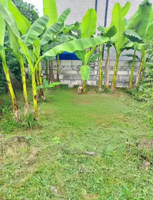 Продам дом, 38, Верхнениколаевское с, 0 км от города