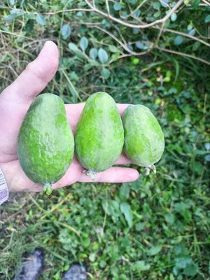 Продам дом, 38, Верхнениколаевское с, 0 км от города