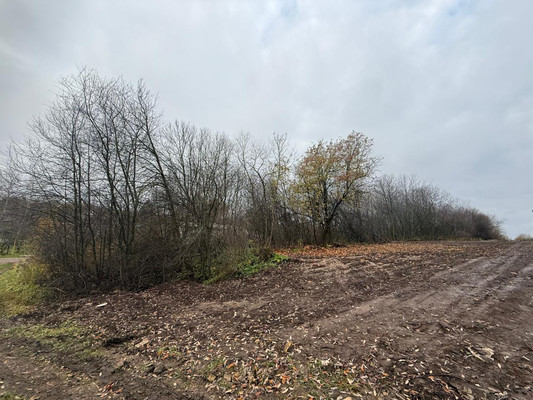 Продам участок 7,46 соток, ИЖС, Изосимлевская ул, 16, Кусаковка д, 0 км от города