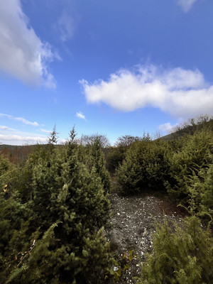 Продам дом, Георгиевская ул, 57, Глебовское с, 0 км от города