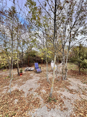 Продам дом, Георгиевская ул, 57, Глебовское с, 0 км от города