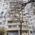 Продам двухкомнатную (2-комн.) квартиру, Дмитровка Б. ул, 20, Москва г