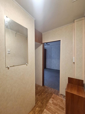 Продам однокомнатную (1-комн.) квартиру, Победы ул, 9, Чернецкое п/о