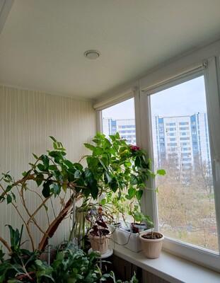 Продам двухкомнатную (2-комн.) квартиру, Лескова ул, 21, Москва г