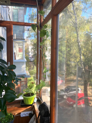 Продам двухкомнатную (2-комн.) квартиру, Московская ул, 94к1, Чехов г