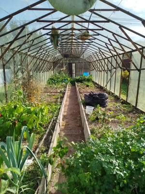 Продам дом, Орион тер. СНТ, 41, Репниково д, 0 км от города