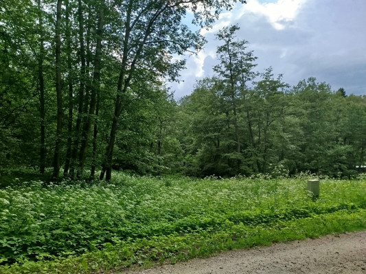 Продам участок 11,99 соток, ИЖС, объединения Мелихово парк тер, Мелихово д, 0 км от города