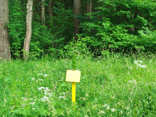 Продам участок 11,99 соток, ИЖС, объединения Мелихово парк тер, Мелихово д, 0 км от города