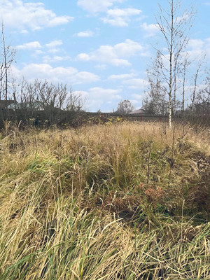 Продам дачу, Родниковая ул, 16, Новоселки с, 0 км от города