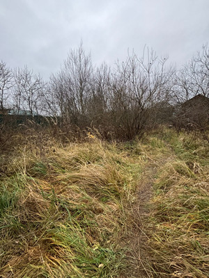 Продам дачу, Родниковая ул, 16, Новоселки с, 0 км от города