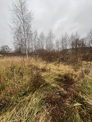 Продам дачу, Родниковая ул, 16, Новоселки с, 0 км от города