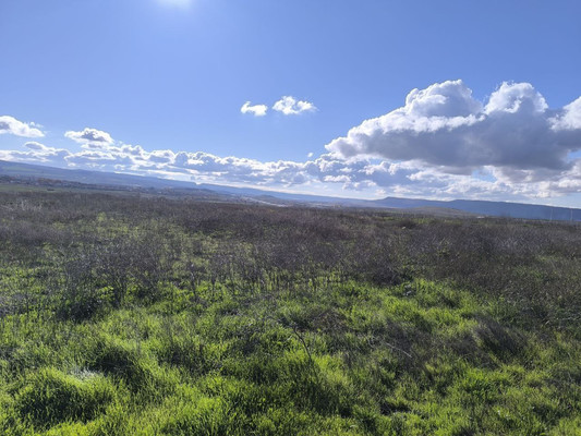 Продам землю для коммерческого использования 130 соток, Фермерское хоз., Мира ул, Бахчисарай г