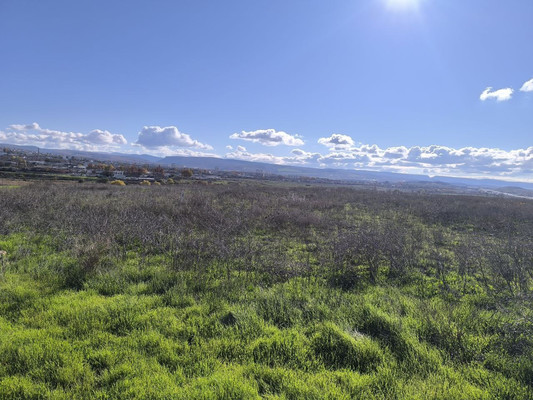 Продам землю для коммерческого использования 130 соток, Фермерское хоз., Мира ул, Бахчисарай г