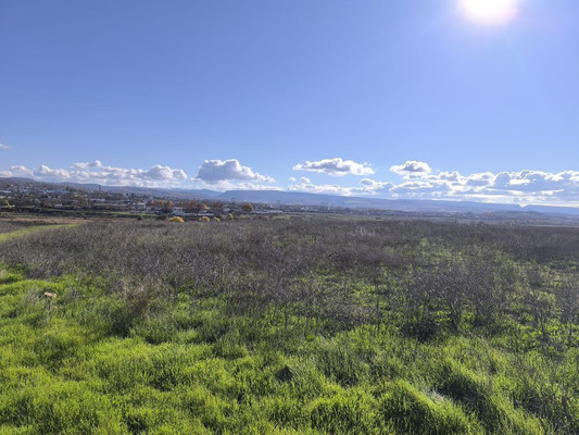 Продам землю для коммерческого использования 130 соток, Фермерское хоз., Мира ул, Бахчисарай г