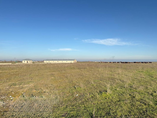 Продам землю для коммерческого использования 150,63 соток, Фермерское хоз., Баксаненок с