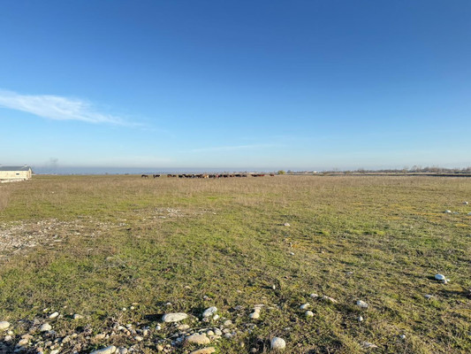 Продам землю для коммерческого использования 150,63 соток, Фермерское хоз., Баксаненок с