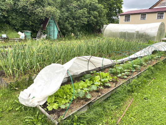 Продам дом, Центральная ул, Новая Середка д, 0 км от города