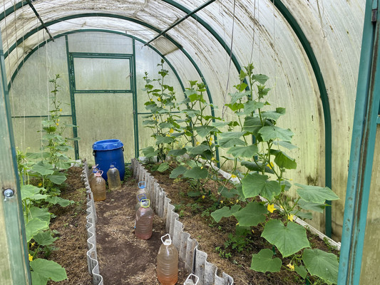 Продам дом, Центральная ул, Новая Середка д, 0 км от города