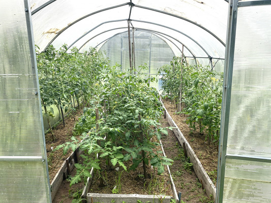 Продам дом, Центральная ул, Новая Середка д, 0 км от города