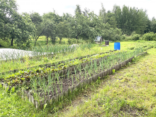Продам дом, Центральная ул, Новая Середка д, 0 км от города