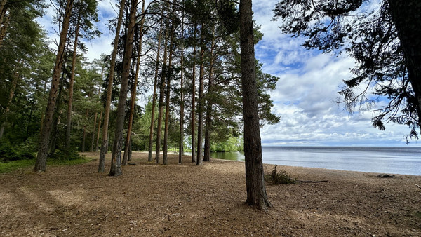 Продам землю для коммерческого использования 7,4 соток, ИЖС, Ужесельга д