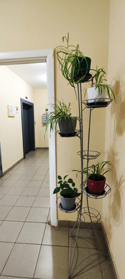 Продам однокомнатную (1-комн.) квартиру, 51, Щапово п