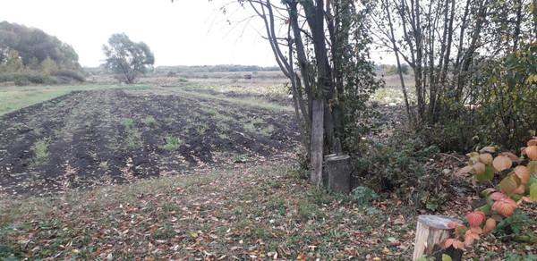 Продам дом, Красный Кудояр д, 0 км от города